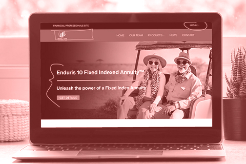 RevolWebMarkupPink-480 Revol One old homepage fixes